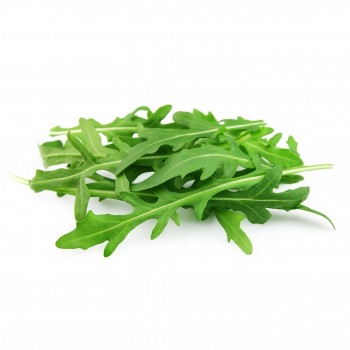 Rucola lose