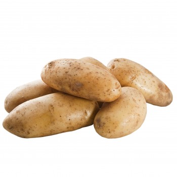 Kartoffeln vorwiegend festkochend, 
Agria