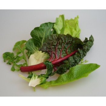 Baby-Leaf Mix Salat, 200 g gepackt